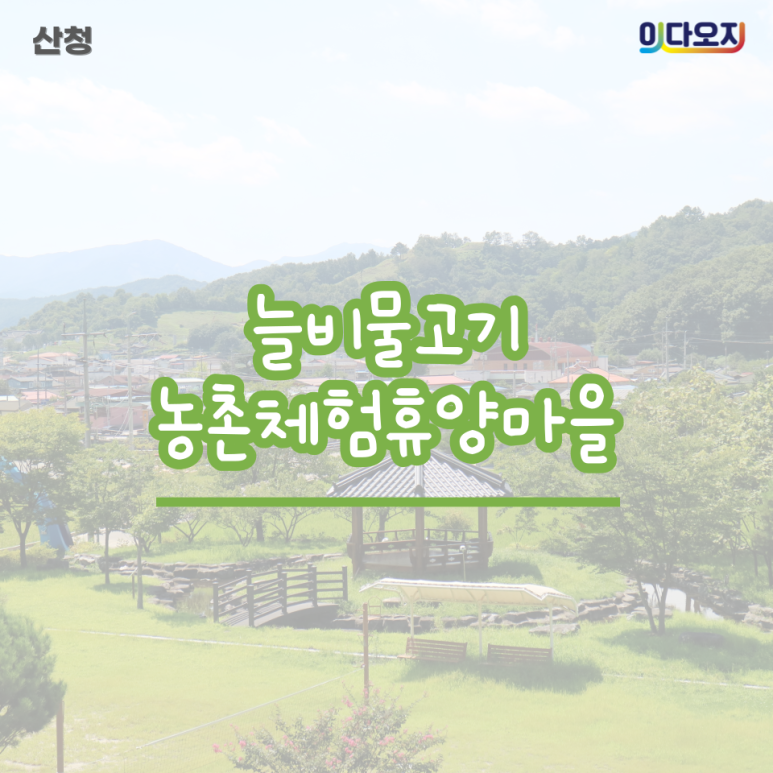 늘비물고기마을 이미지