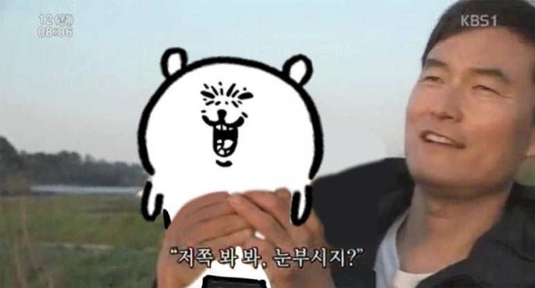 55 이미지