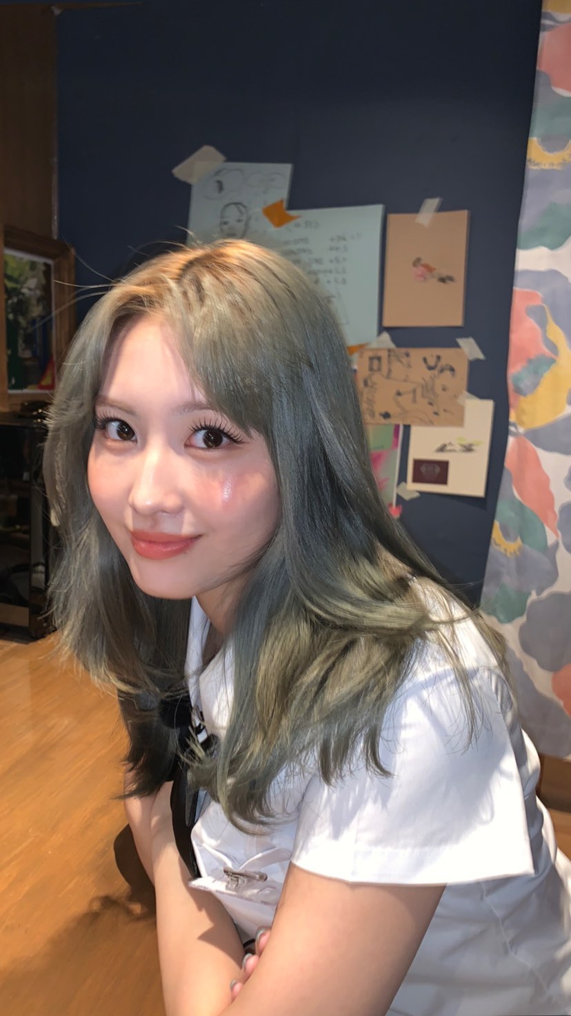 모모(MOMO) 이미지