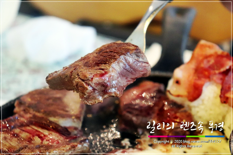 로렌스308 이미지