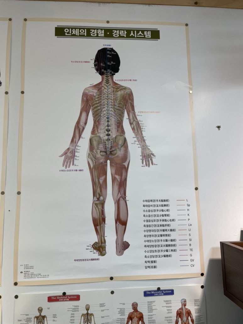 뉴바디체형관리센터 이미지