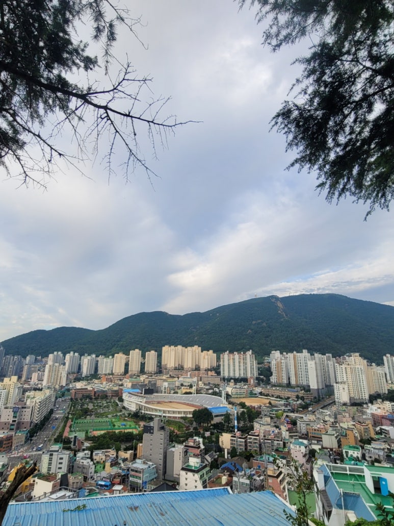 강앤강휴대폰 이미지