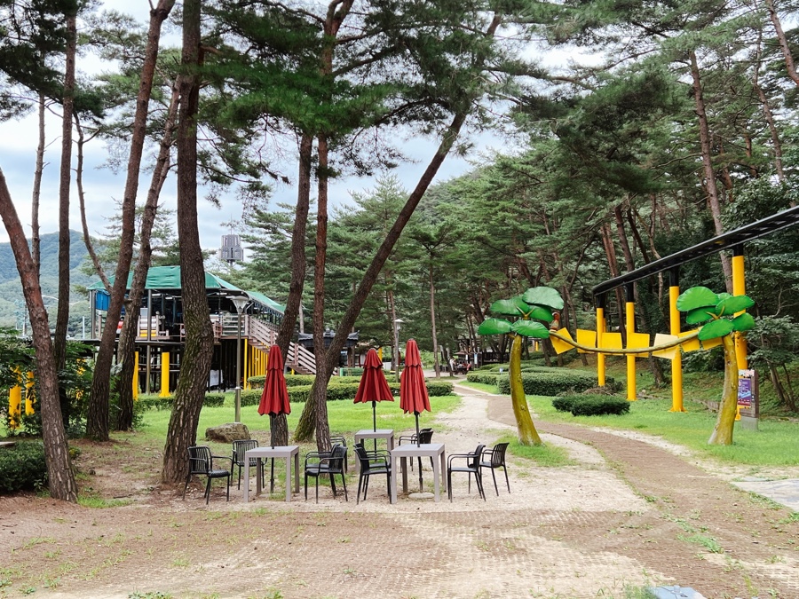 솔향공원 스카이바이크 시설 이미지