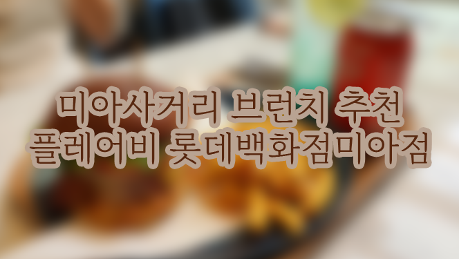 플레어비미아롯데 이미지