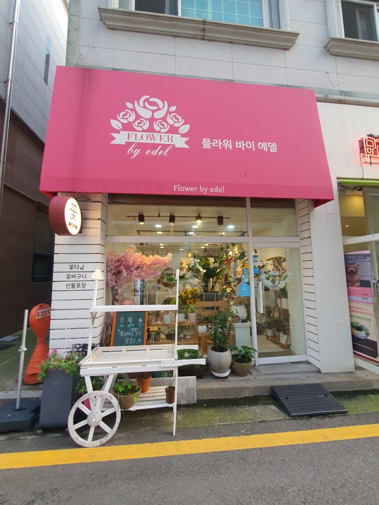 플라워바이에델 이미지