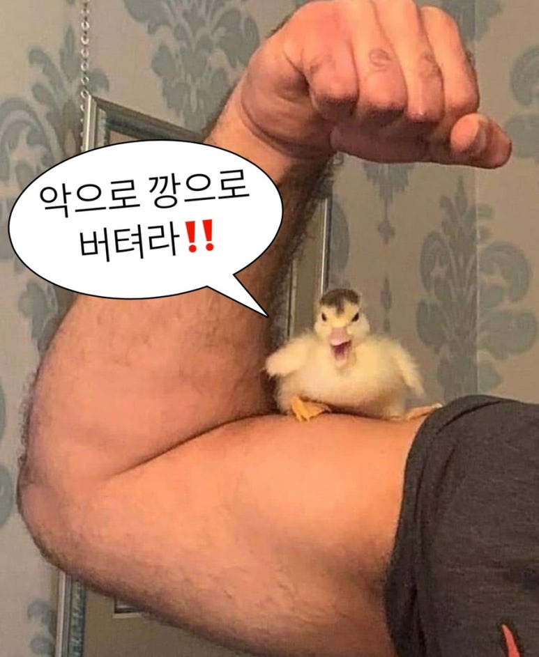 구월팔일 이미지