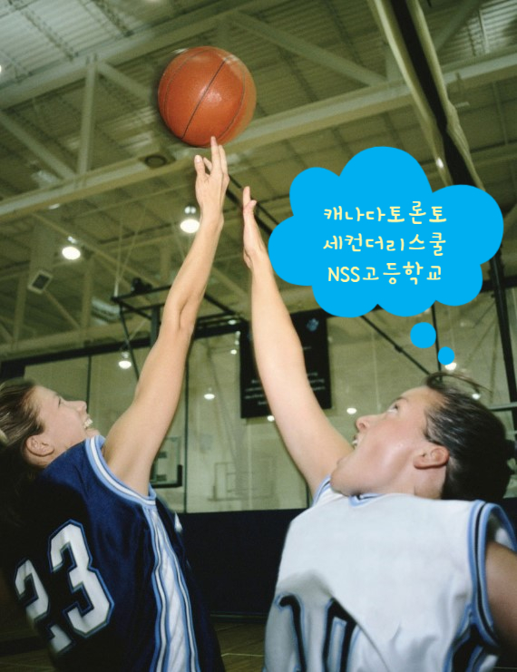 진진정보통신 이미지