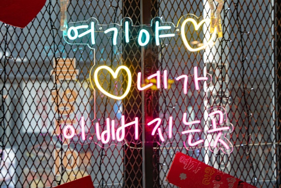 월드맛집 이미지
