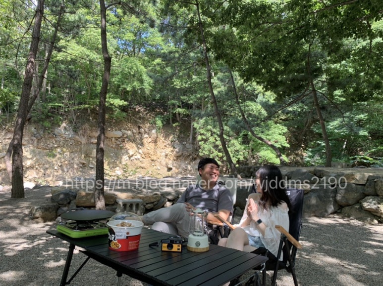 사지목나무그늘 이미지