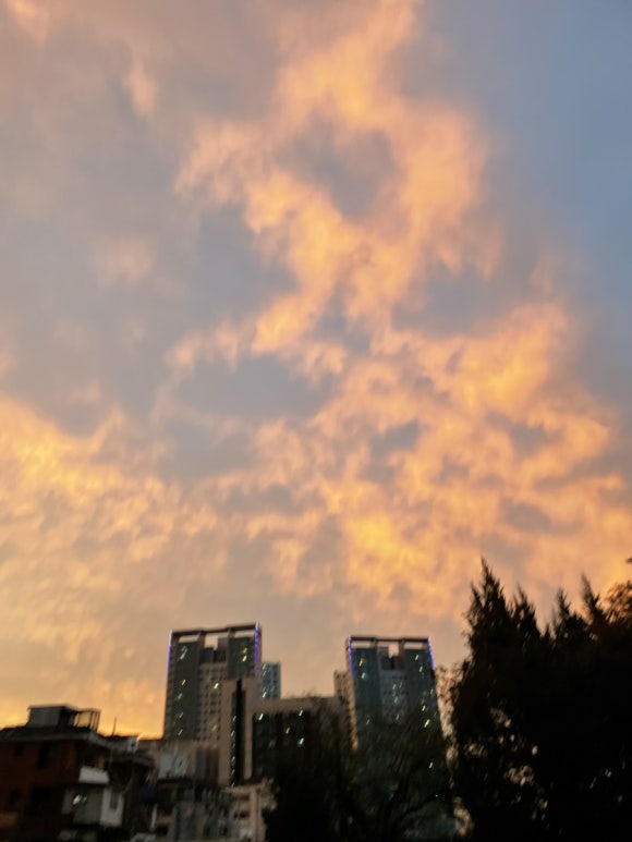 BHC답십리점 이미지