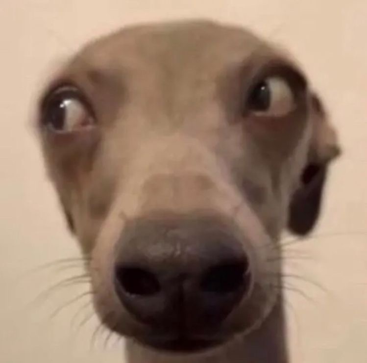차차 이미지