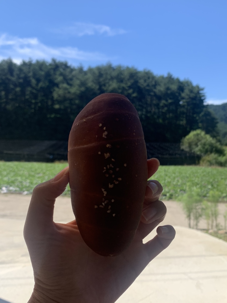 곰배골길146·29 이미지