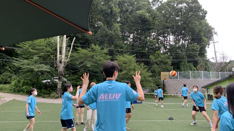 아루브 이미지