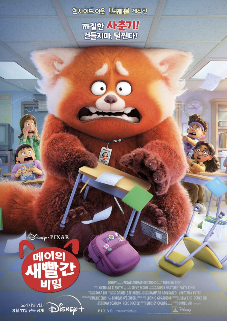 닥터메이 이미지
