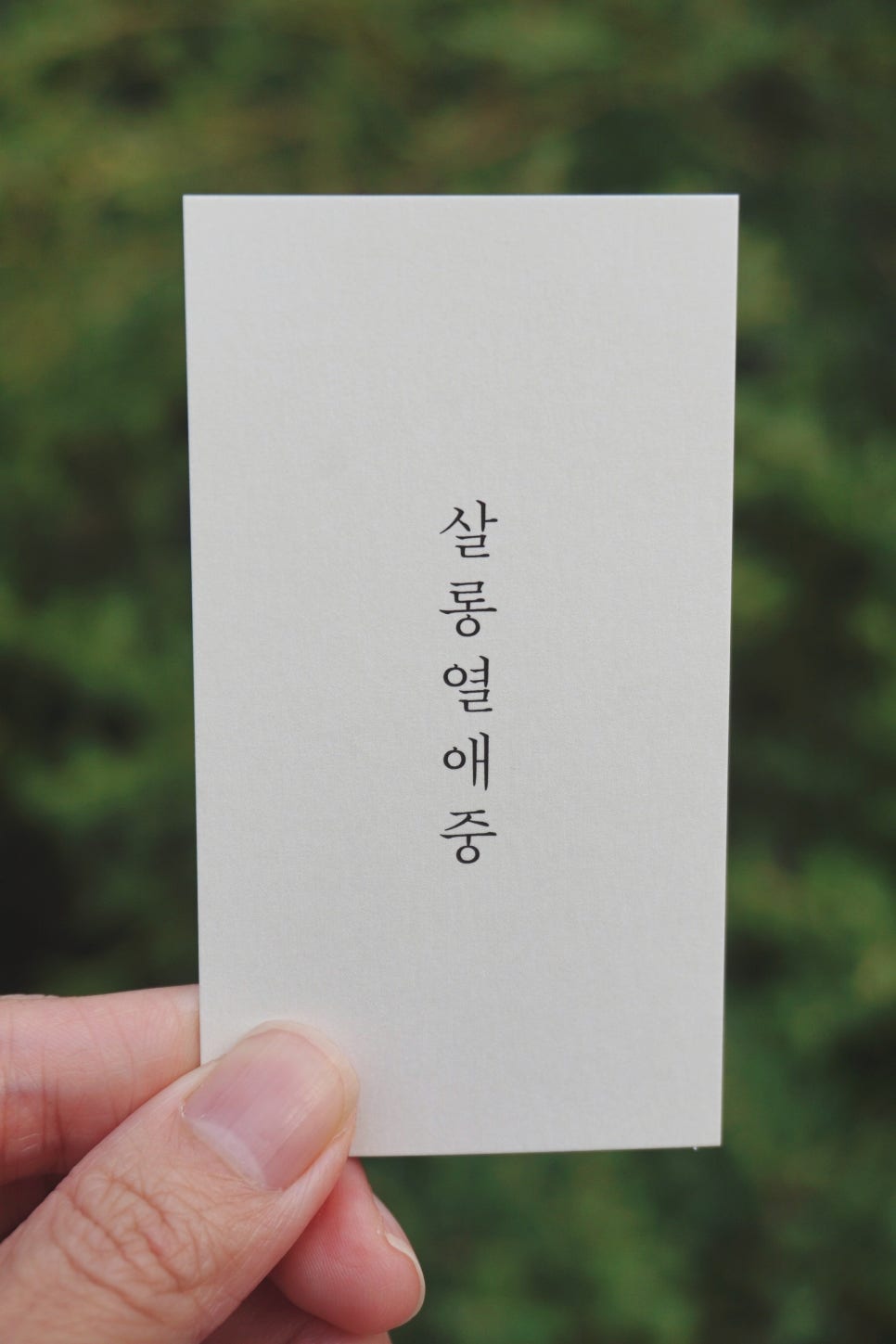 살롱열애중 이미지
