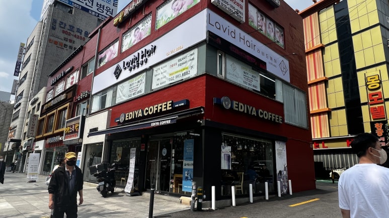 라비드헤어 이미지