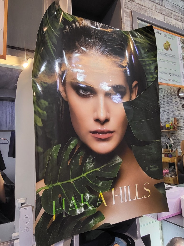하라힐즈(HARA HILLS) 이미지