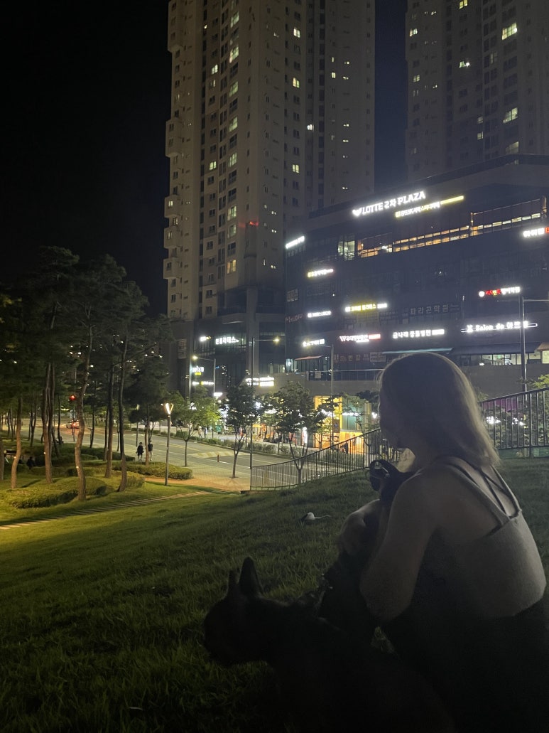 옥이쓰 이미지
