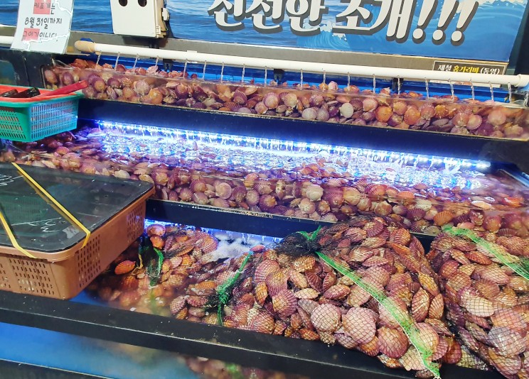 청주조개구이무한리필 이미지