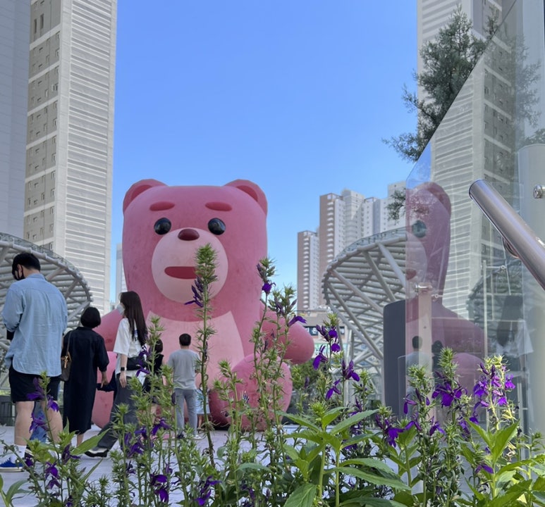 (주)커피벨리 이미지