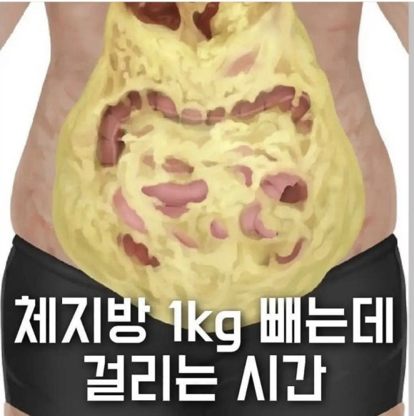 아띠핏 이미지