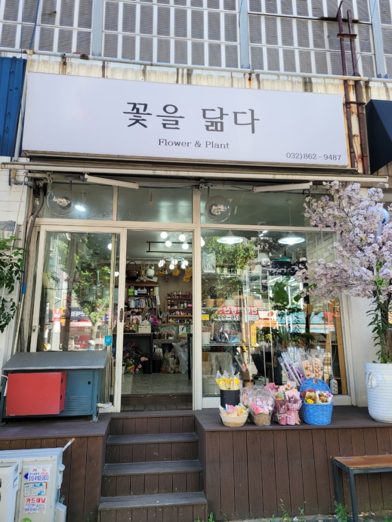 꽃을닮다 이미지