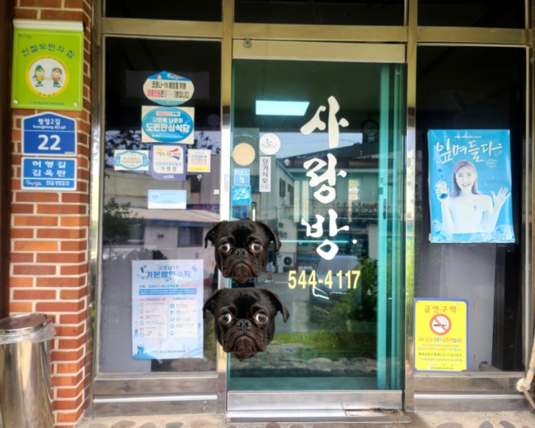 사랑방 음식점 이미지
