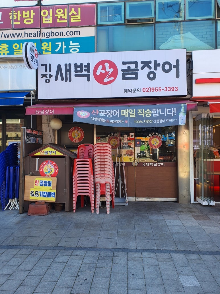 기장새벽왕곰장어 이미지