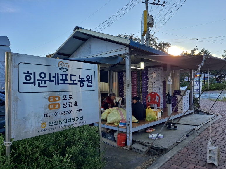 관곡주유소 이미지