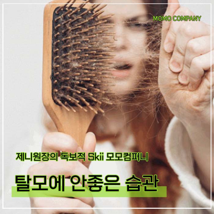 모모컴퍼니 이미지