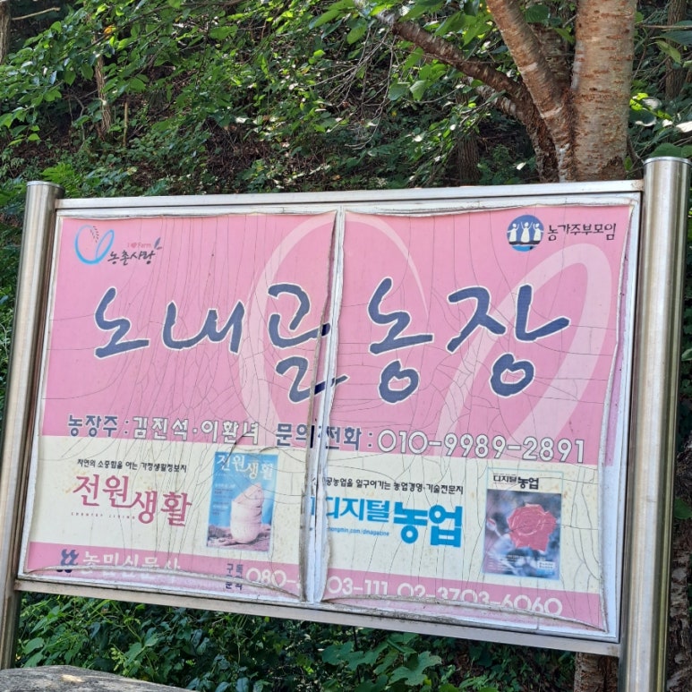 홍천노내골농장 이미지