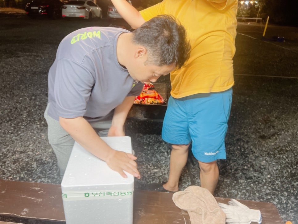 돌고래풀하우스 이미지