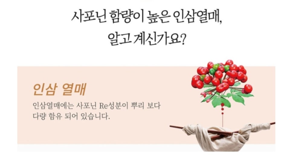 인삼열매(주) 이미지