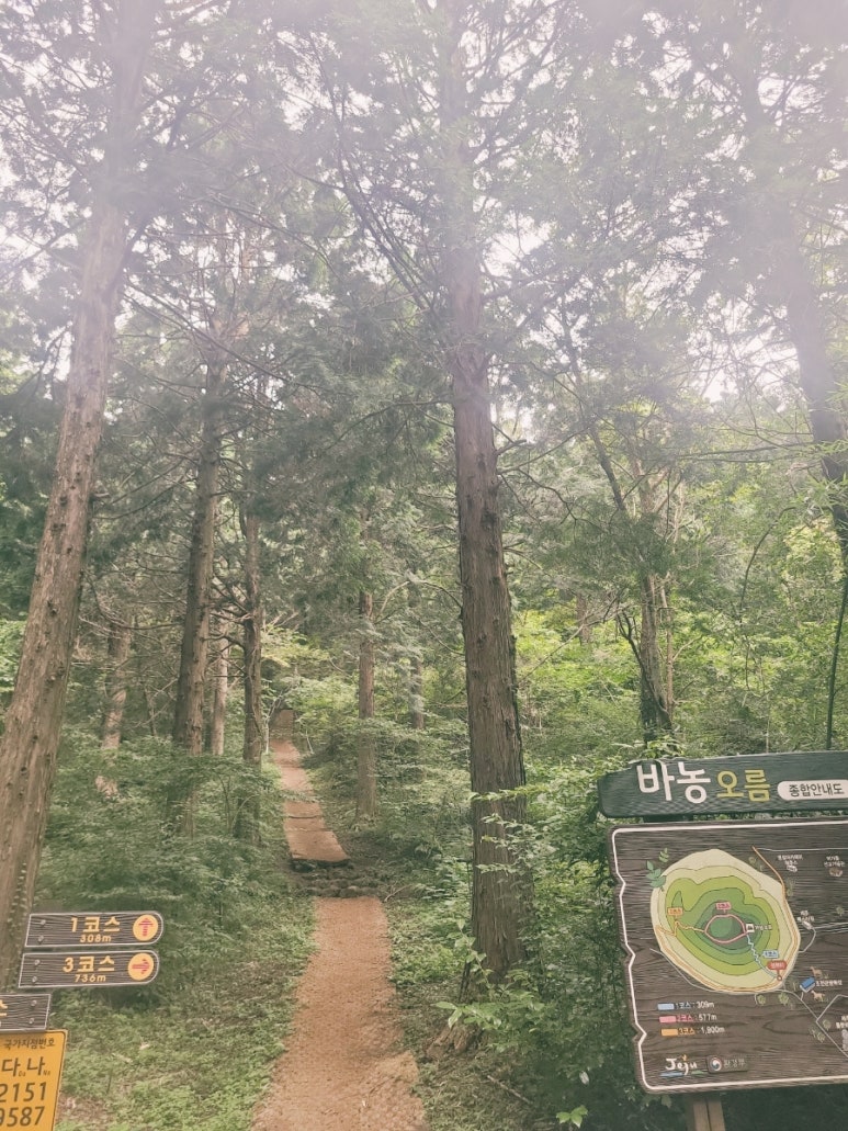 웰니스캠프 이미지