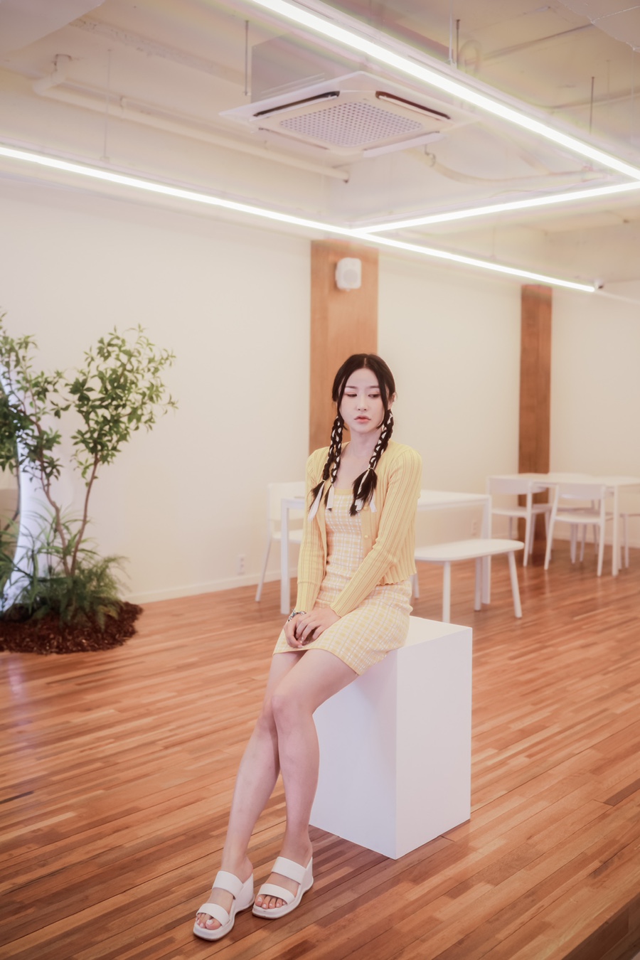 쿠키당 이미지