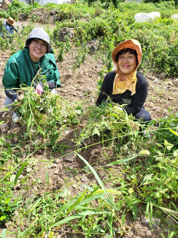 (주)동산환경 이미지