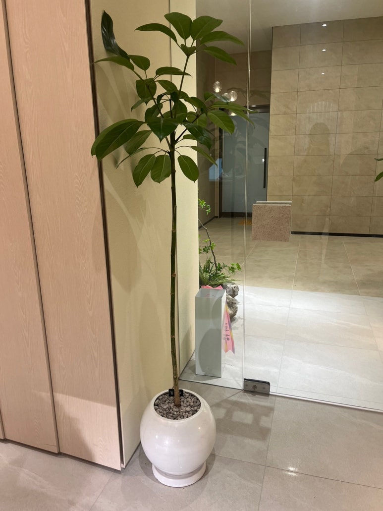 뷰티스토리 이미지