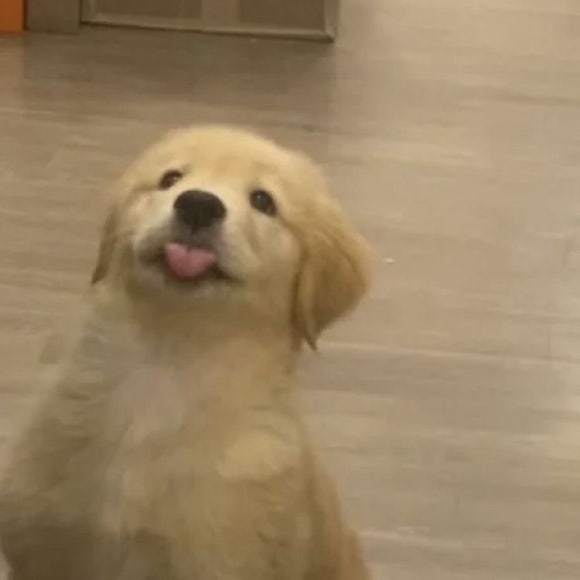 리안베이커리 이미지