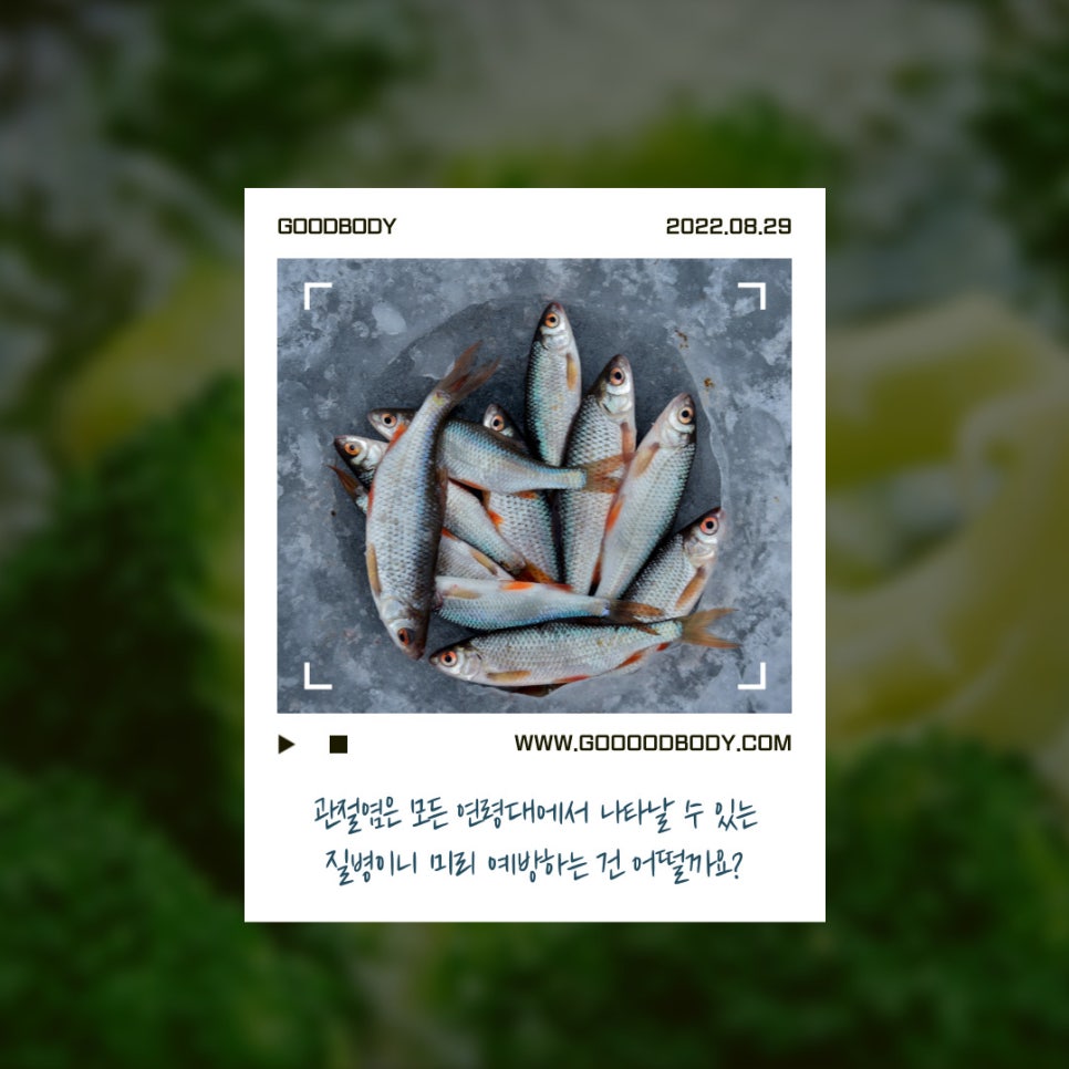 굿바디트레이닝 이미지