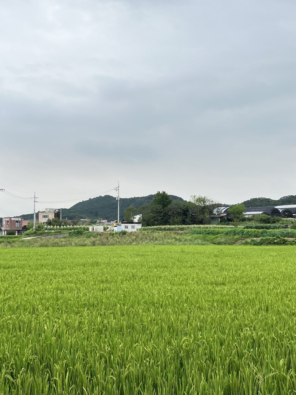 논밭커피 이미지