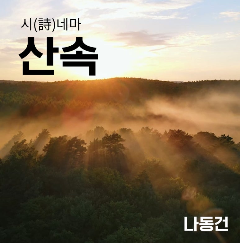 정화양발 이미지