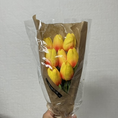 브레드남 이미지
