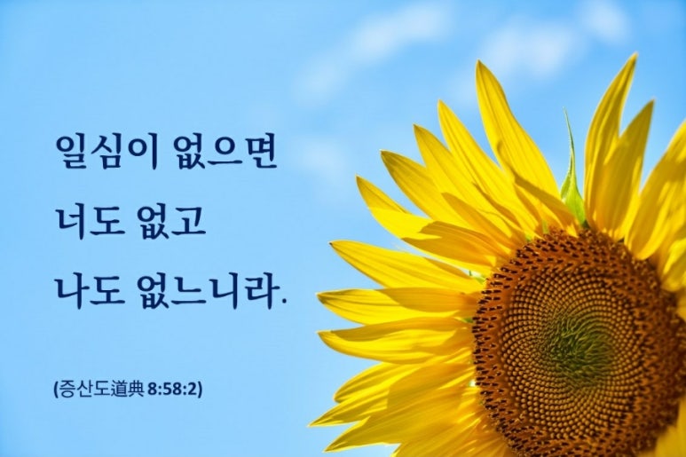 빨간정성 이미지