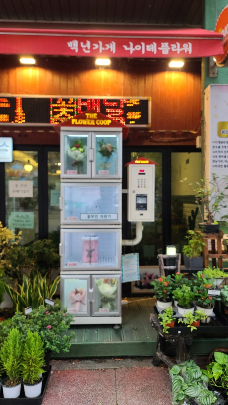 나이테플라워 이미지
