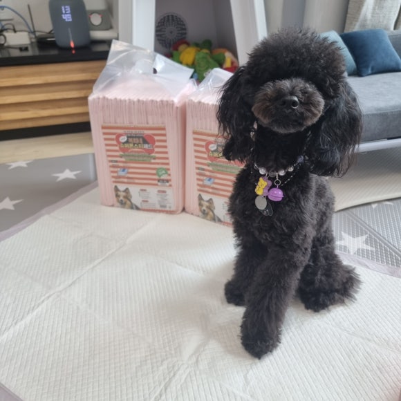 복희슈퍼 이미지