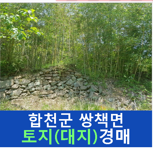 대지이용원 이미지