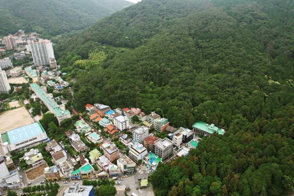 나무병원건강한숲 이미지