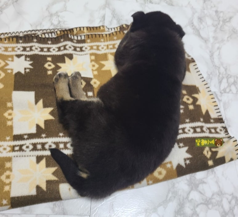 달곰집 이미지