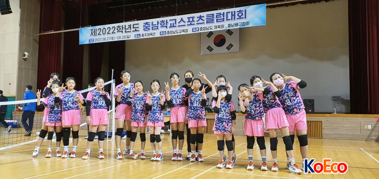 충남스포츠 이미지