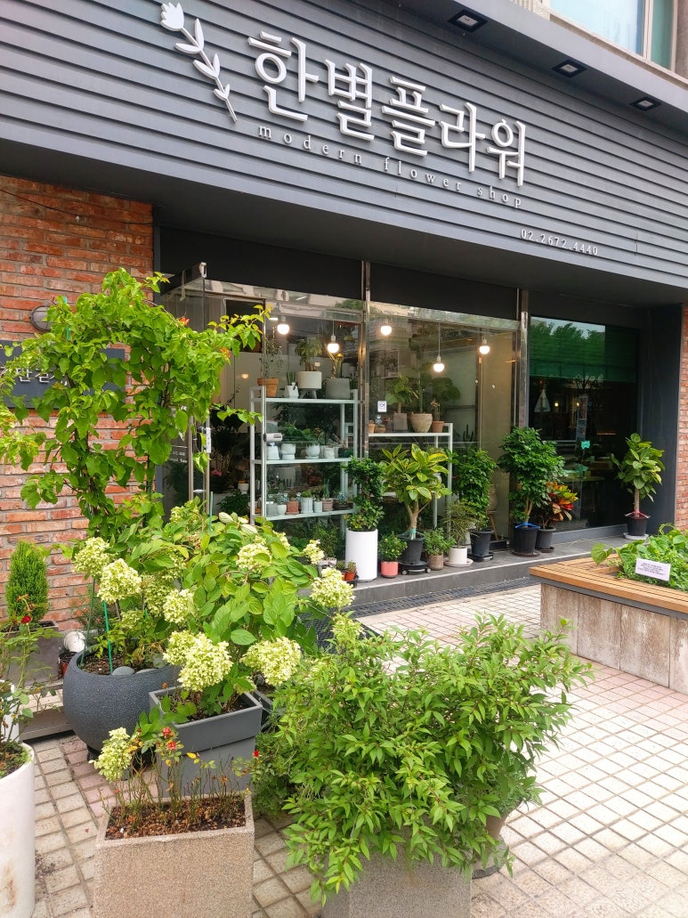 한별플라워 이미지